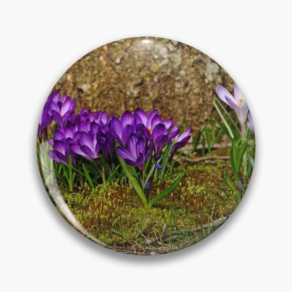 Item preview, Purple Crocus In The Moss designed and sold by Debbie Oppermann.