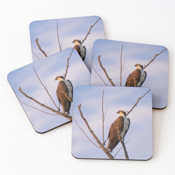 Item preview, Male Osprey designed and sold by Heather Boyd.