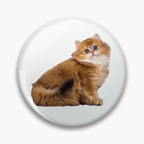 Item preview, British Longhair Cat Kitten designed and sold by ElegantCat.