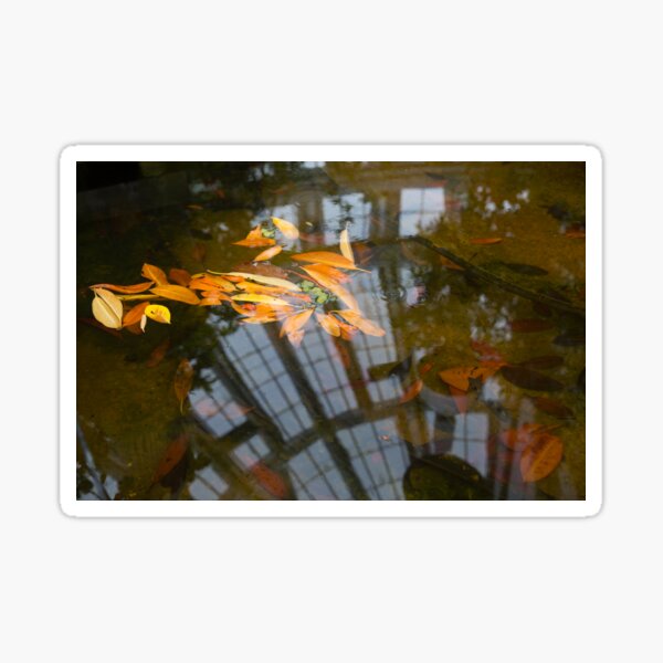 Floating leaves in water reflection Sticker