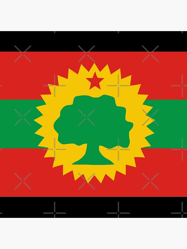 Oromo Flag Ethiopia Afro Pin | Redbubble