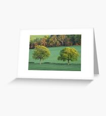 Two Trees, Newlands Corner, Surrey Greeting Card