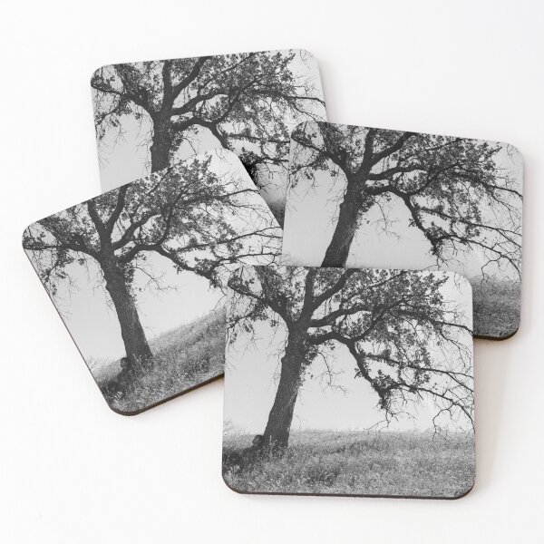 Item preview, Black and White Portrait (Escapee)  designed and sold by Smeekeeper.