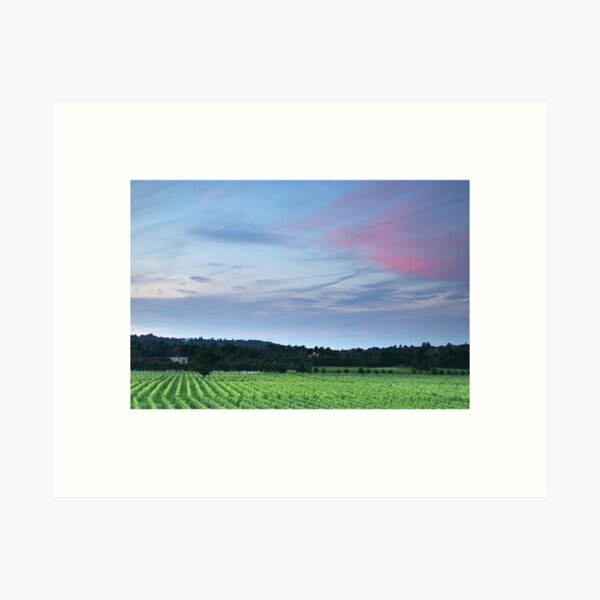 Item preview, Denbies Vineyard, Dorking, Surrey designed and sold by Craig Denford.