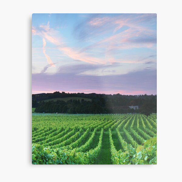 Item preview, Denbies Vineyard, Dorking, Surrey designed and sold by Craig Denford.