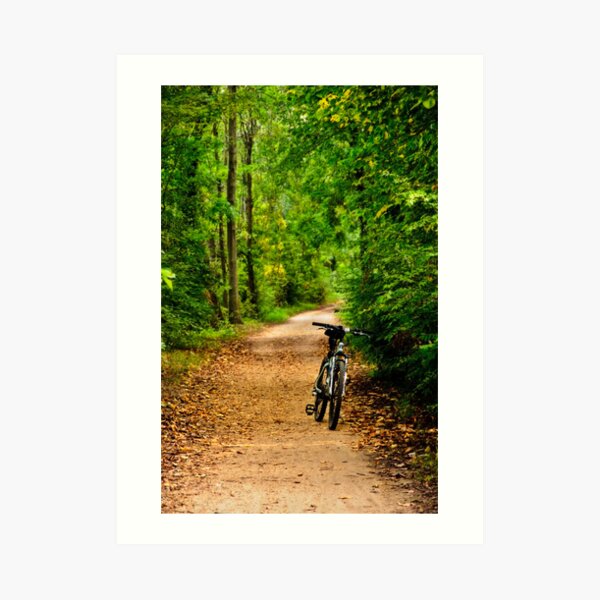 The Bike on the Towpath Art Print