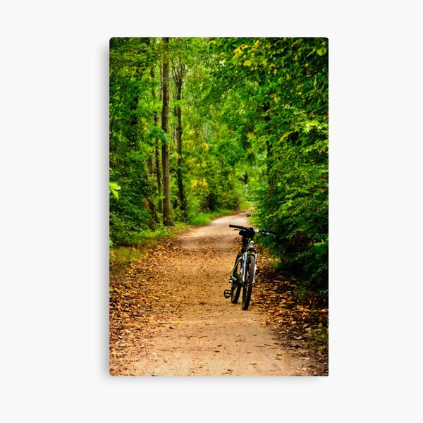 The Bike on the Towpath Canvas Print