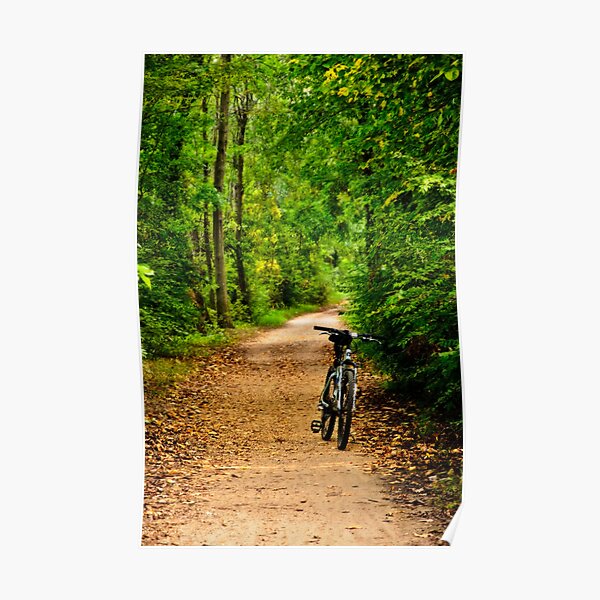 The Bike on the Towpath Poster