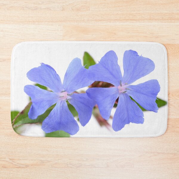 Item preview, Ceratostigma plumbaginoides   AGM  Hardy blue-flowered leadwort   designed and sold by Chris Burrows.