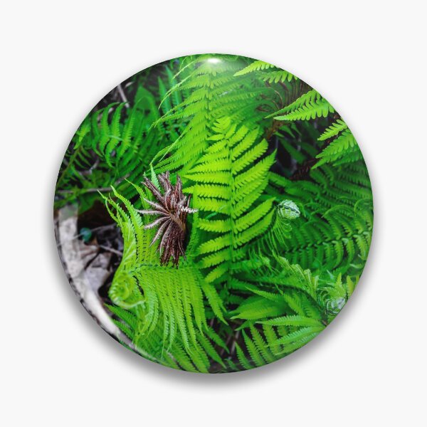 Item preview, FERN 004 designed and sold by HowardRoberts.
