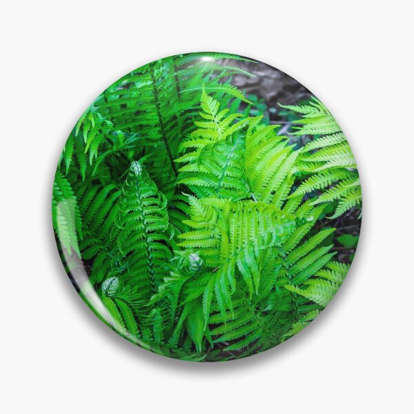 Item preview, FERN 005 designed and sold by HowardRoberts.