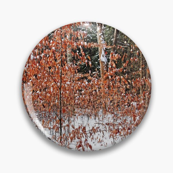 Item preview, Fall Beech Trees designed and sold by Debbie Oppermann.