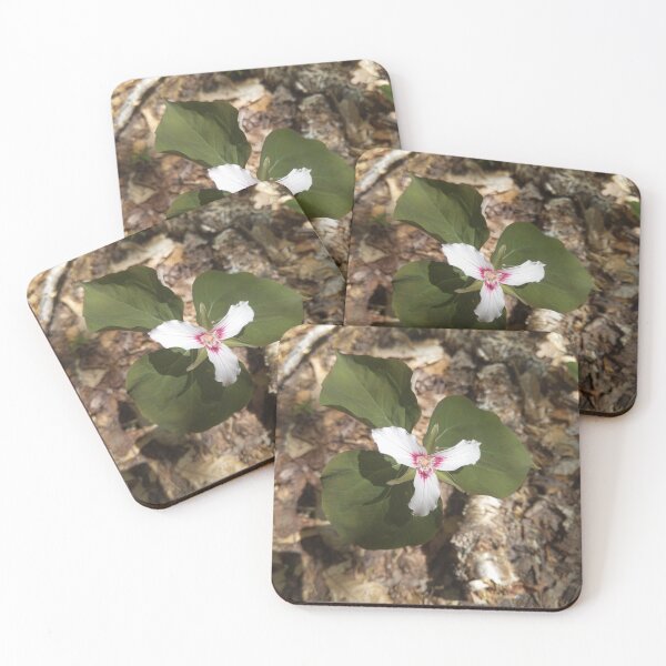 Item preview, Painted Trillium designed and sold by Sophie Green.