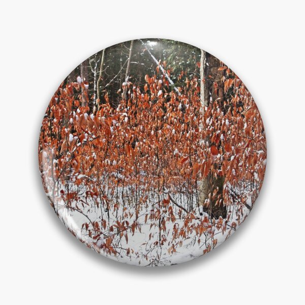 Item preview, Autumn Beech designed and sold by Debbie Oppermann.