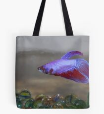 Something Fishy Tote Bag