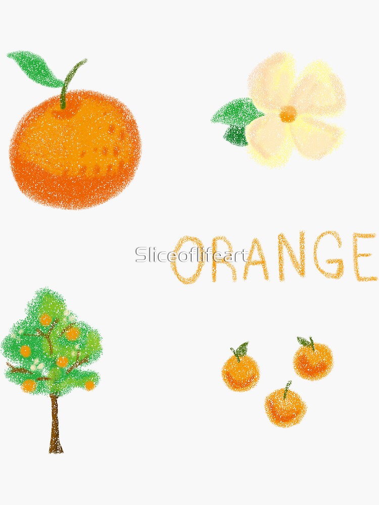 "Cute Drawn Orange Stickers " Sticker by Sliceoflifeart Redbubble