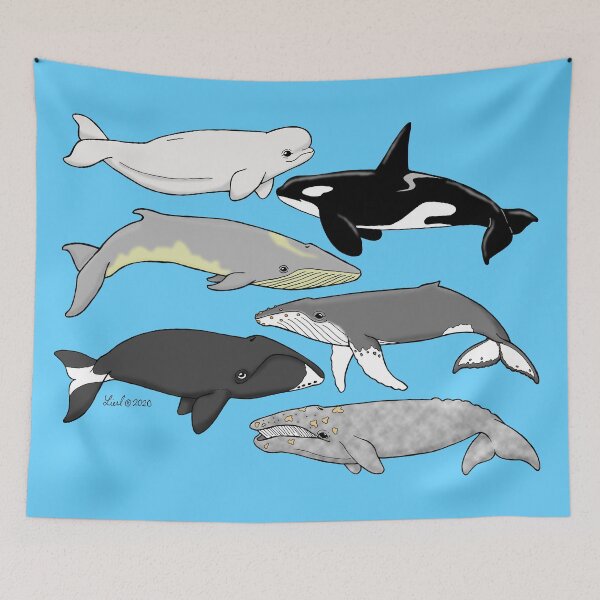 Item preview, Whales of Alaska designed and sold by sharkbait83.