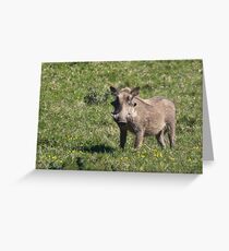 Warthog Grußkarte