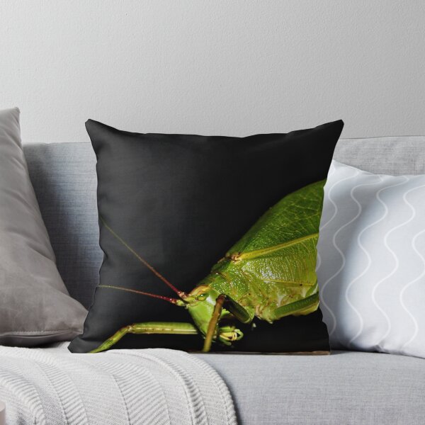 Item preview, KatyDid designed and sold by Samantha Vanatta.