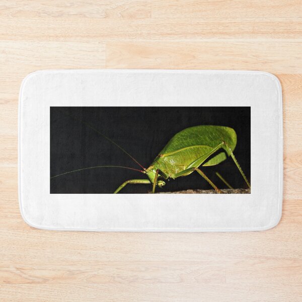 Item preview, KatyDid designed and sold by Samantha Vanatta.