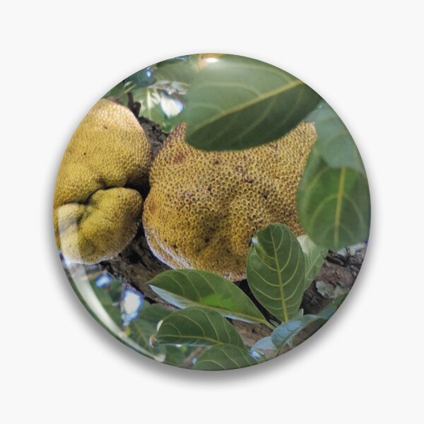 Item preview, Jackfruit Tree designed and sold by Margaret Stevens.