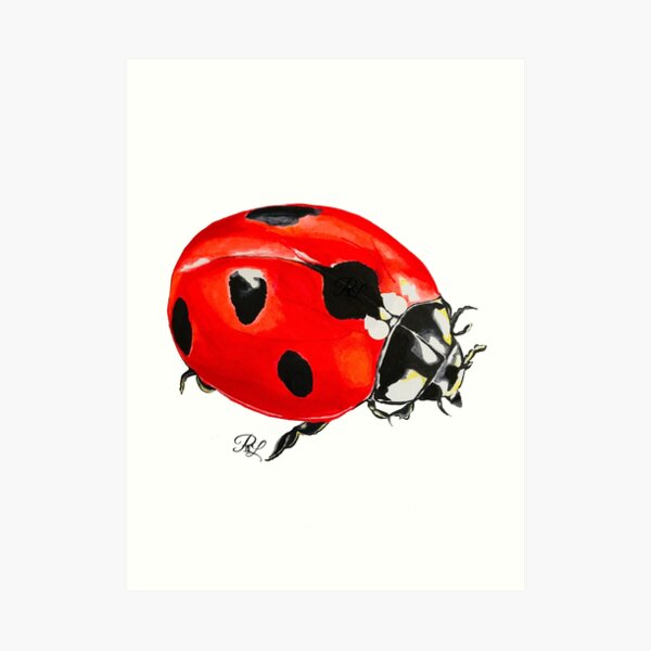 Ladybug Art Print
