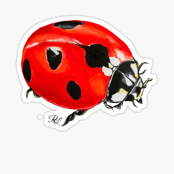 Ladybug Sticker