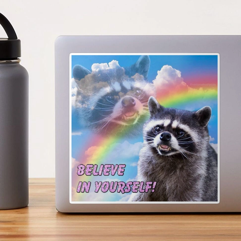 Believe In Yourself Raccoon Sticker – ninanush