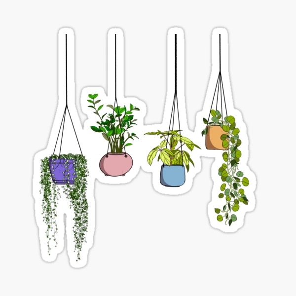 Hanging Plant Stickers Succulent Sticker Graphic by Paper Artsthetics ·  Creative Fabrica