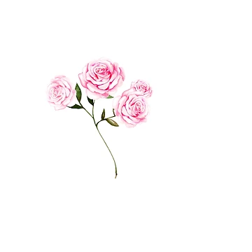 Artwork thumbnail, Vintage Pink Roses by RuthFurtado