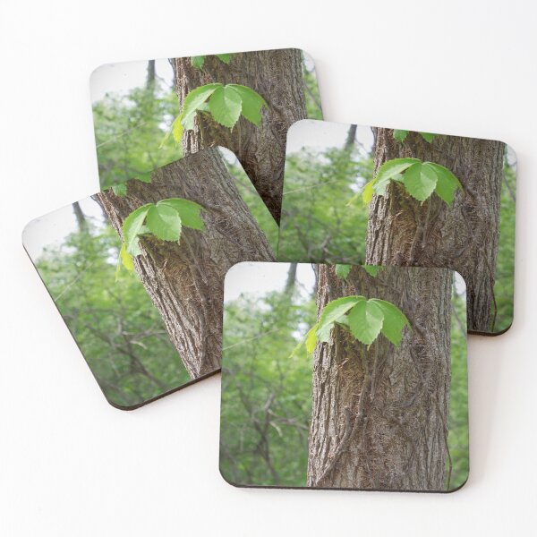 Item preview, Vines on a Walnut Tree designed and sold by Haley McKenzie.
