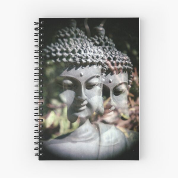 Item preview, Double Buddha Meditating Statue designed and sold by gbgvphotography.
