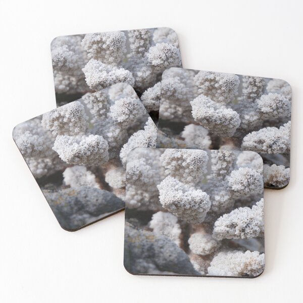 Item preview, Hawaiian Corals designed and sold by Haley McKenzie.
