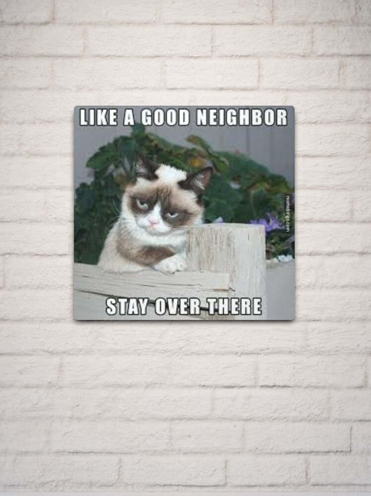 Angry Cat Like A GOOD NEIGHBOR,,,,,STAY OVER THERE Sticker for Sale by  Steelpaulo
