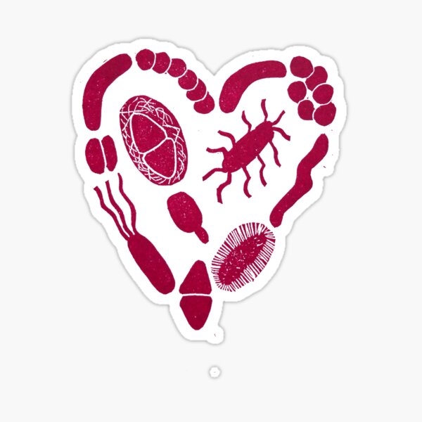 Aperçu de l'œuvre Cœur des bactéries créée et vendue par lovebacteria.