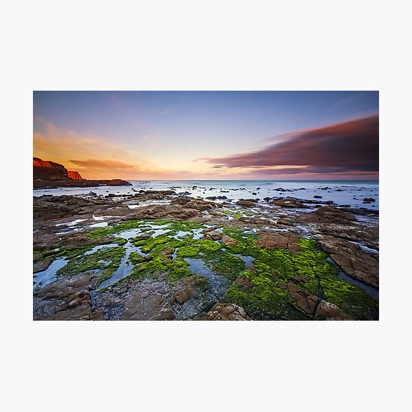 Item preview, Frozen in Time - Curio Bay, South Island, New Zealand designed and sold by Matthew Kocin.