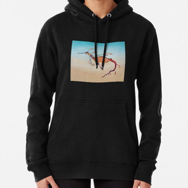 Decorated Series: Weedy Seadragon (Phylopteryx taeniolatus) Pullover Hoodie