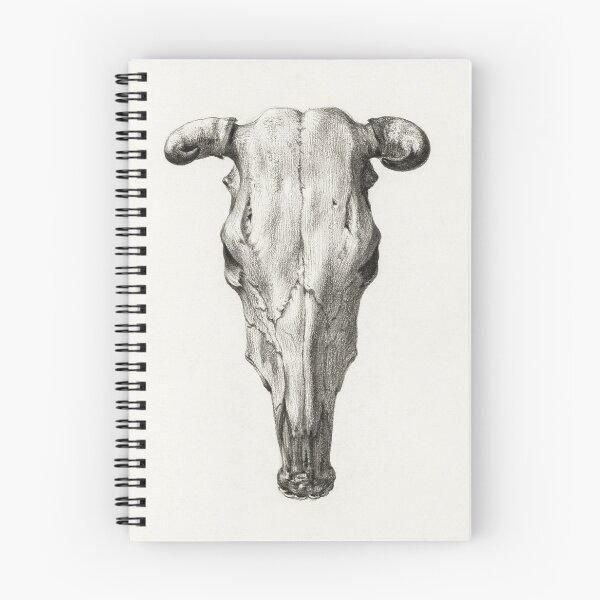 Item preview, Cow Skull Illustration designed and sold by Lemon  Merch.