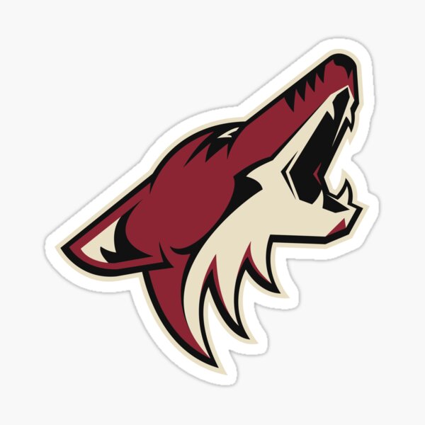 Arizona Blackhawks - Chicago Coyotes Logo Mashup - Arizona Coyotes - Hoodie