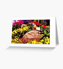 The Transgendered Garden Gnome Greeting Card