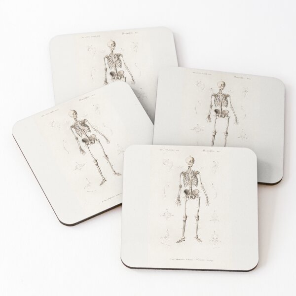 Item preview, Skeleton Diagram Illustration designed and sold by Lemon  Merch.