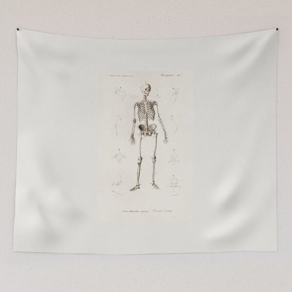 Item preview, Skeleton Diagram Illustration designed and sold by Lemon  Merch.