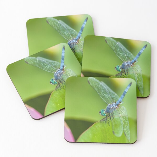 Item preview, Blue Dasher designed and sold by jvnimages.