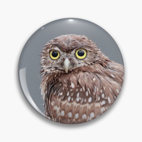 Item preview, Burrowing Owlet designed and sold by mlorenz.