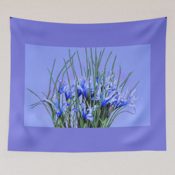 Item preview, Iris 'Harmony' designed and sold by Alisonchambers2.