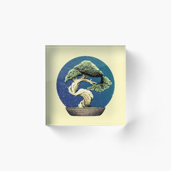 Bonsai Acrylic Block
