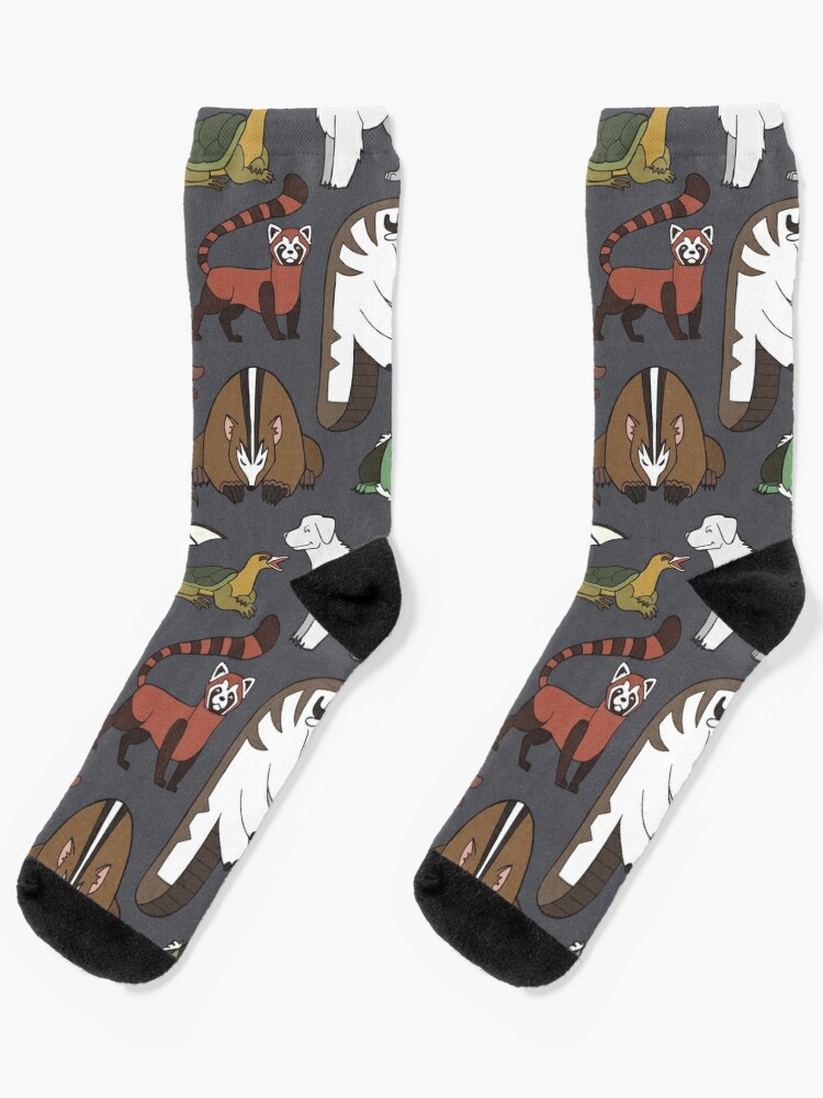 Avatar Menagerie | Socks