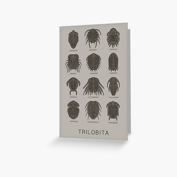 Trilobita Greeting Card