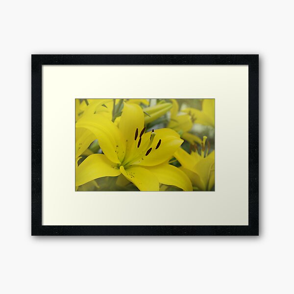 Item preview, Asiatic lilies designed and sold by Halobrianna.