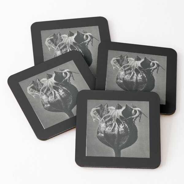 Item preview, Black and White Macro Photography  designed and sold by Slydell1.